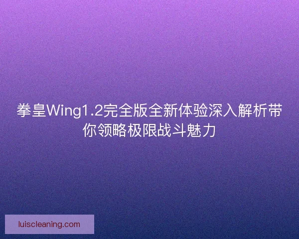拳皇Wing1.2完全版全新体验深入解析带你领略极限战斗魅力